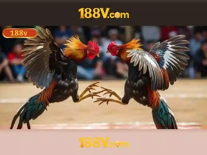 💎888 slot slot football career💎 💎888 slot slot football career💎