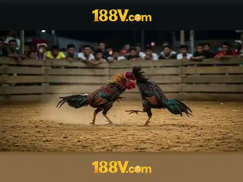 💎cilinder voor slot💎 💎cilinder voor slot💎