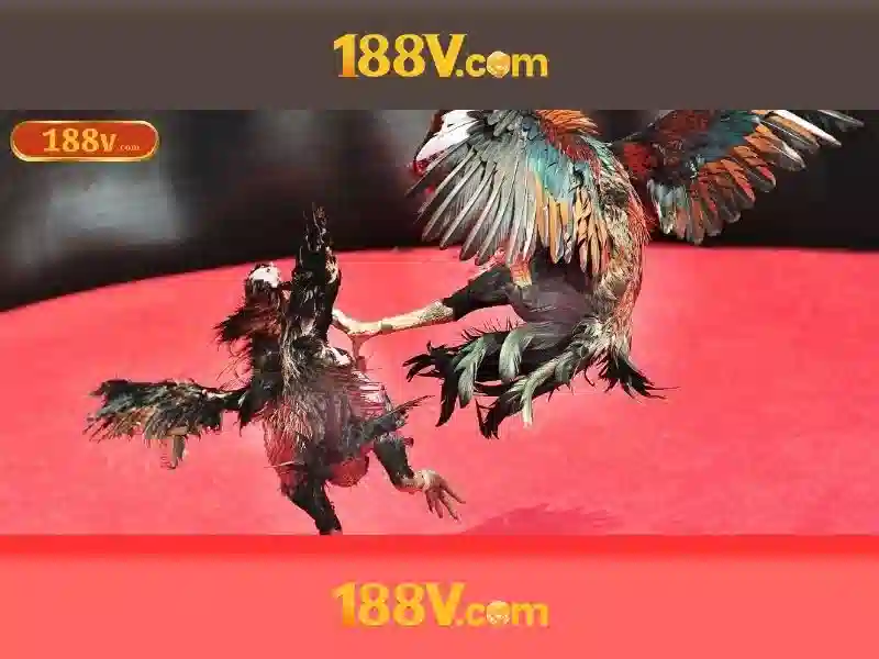 💎kita slot💎 💎kita slot💎