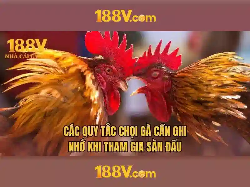 giải trí 188v - 188V giải trí 188v - 188V