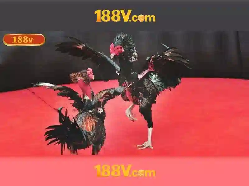 cách chơi Slot - 188V cách chơi Slot - 188V