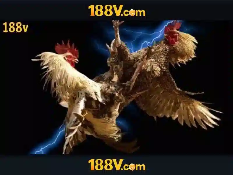 bắn cá trực tuyến - 188V bắn cá trực tuyến - 188V