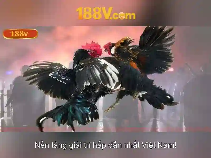 💎sic bo hb88💎 💎sic bo hb88💎